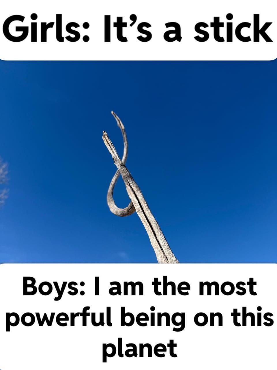 If Man See Stick, Man Get Stick: Hilarious Reaction Meme with Classic Humor on Human Behavior
