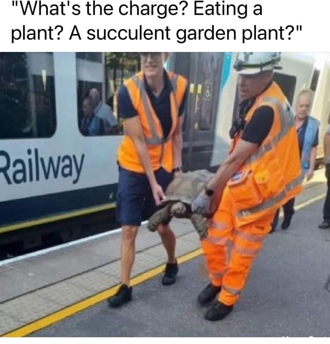 Me_IRL: Relatable Moments That Capture Everyday Life Realities and Everyday Struggles